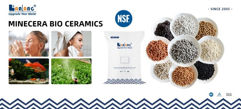 bio ceramic