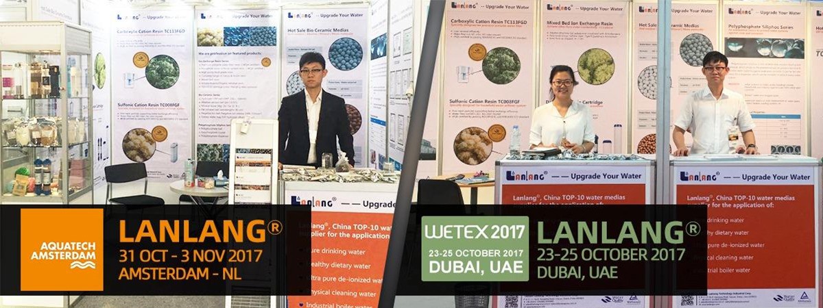 Exhibition 2017 Exhibition 2017