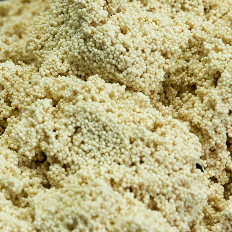 Adsorbent Resin Series