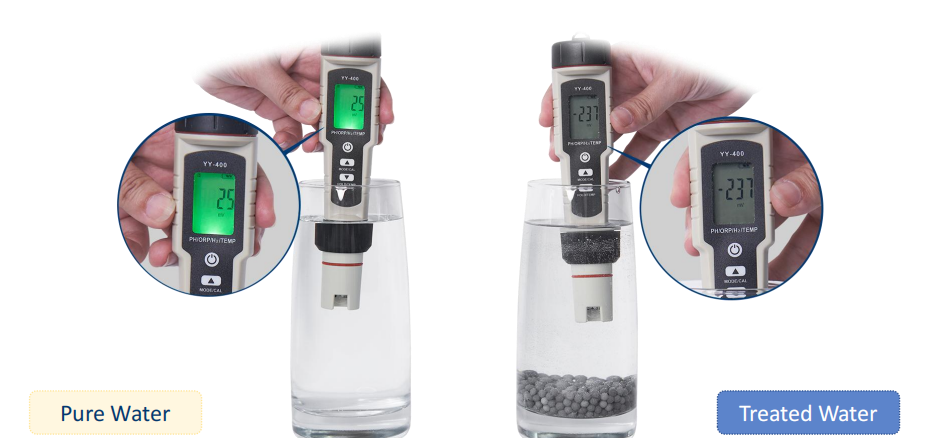 Anti-oxidant test-2